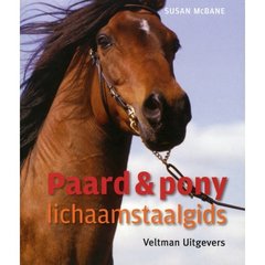 Books about horses