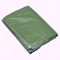 Tarpaulin covers