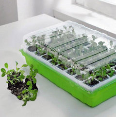 Seed trays