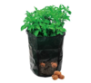 Aardappelplantzak