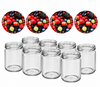 Inmaakpotten 500 ml met twist-off deksel (Bessen) 8 stuks