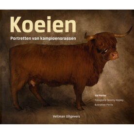 'Koeien'- Val Porter