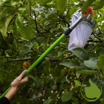 Fruitplukker / appelplukker met steel