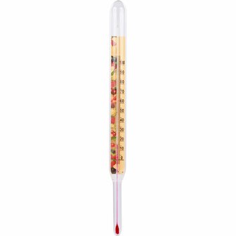 Vloeistof thermometer 22cm