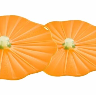 Pumpkin deksel  20cm van Charles Viancin