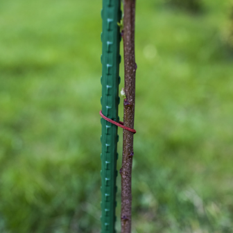 Bioogr&oacute;d Plantensteun - gecoat staal, 0,90 m, 8 mm, 10 stuks
