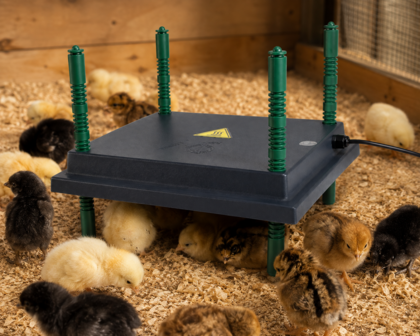 Warmteplaat voor Kuikens 25 &times; 30 cm &ndash; Energiezuinige en Veilige Warmtebron