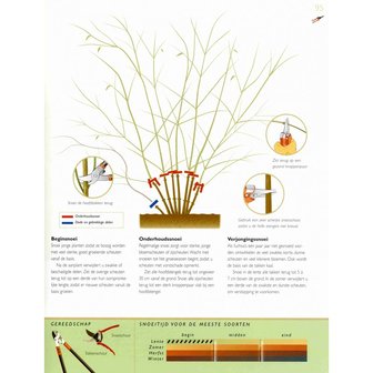 &#039;Handboek snoeien&#039;- Steve Bradley