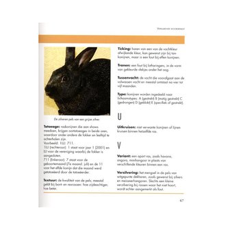&#039;Mini encyclopedie konijnen&#039;- Ceoff Russell