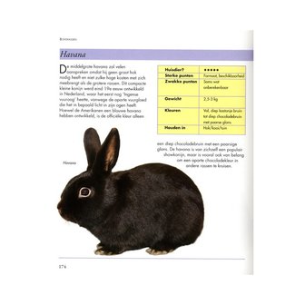 &#039;Mini encyclopedie konijnen&#039;- Ceoff Russell