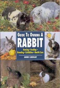 &#039;Guide to owning a Rabbit&#039; Anne Lindsay