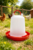 Drinkklok schroef met handvat 3 liter