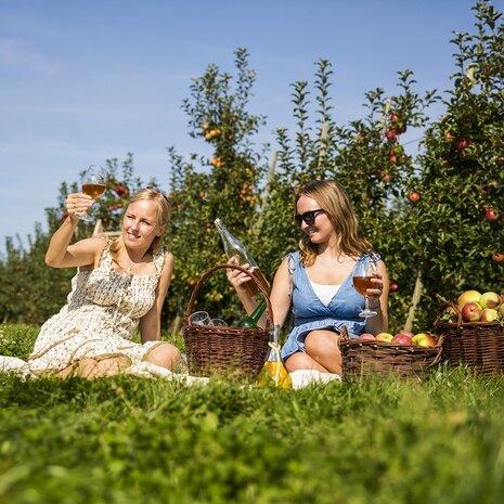 Starterspakket Cider maken 20 L