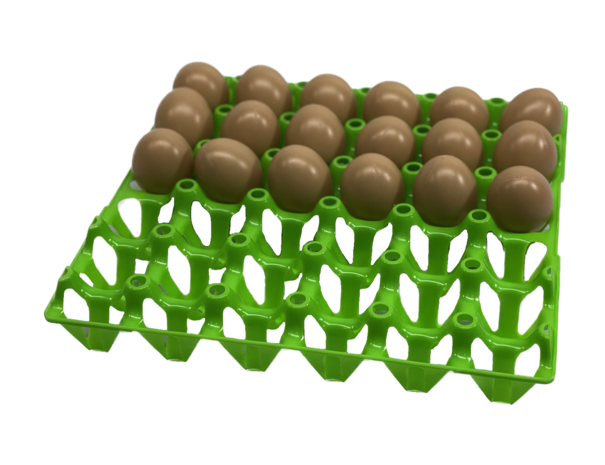 Automatically turning system for 56 hatching eggs. - Sustainable