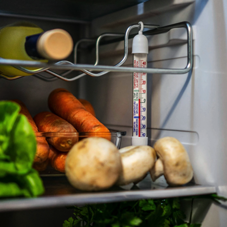 Thermometer voor koelkasten en diepvriezers (-50°C tot +40°C) 17cm