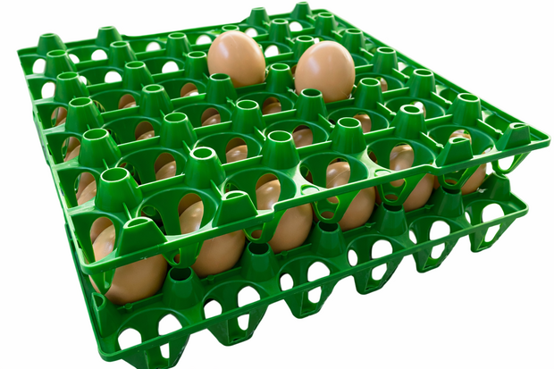 Eiertray voor 30 eieren