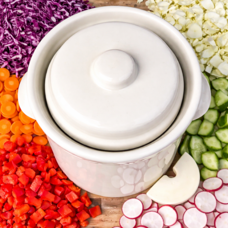 Mini fermentatiepot 2 liter (Creme/Modern) met verzwaringsstenen