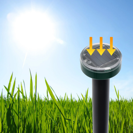 Mollenverjager aangedreven door zon-energie 4 stuks 