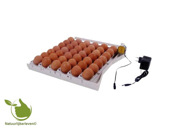 Automatic egg turner for 42 eggs
