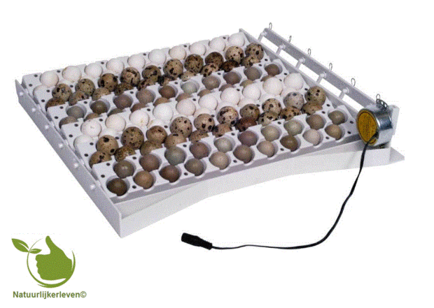 AUTOMATISCH KEERSYSTEEM VOOR 42 KIPPEN- + 6 TRAYS KWARTELEIEREN