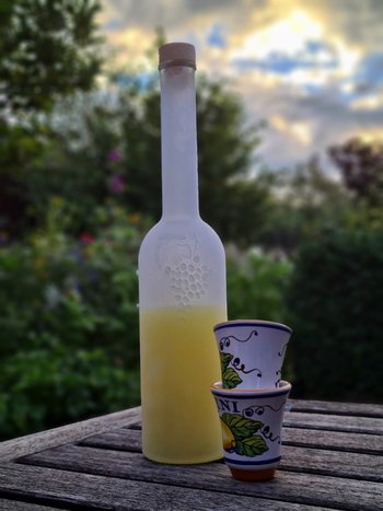Recipe for 3 liters of delicious homemade limoncello!