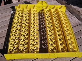 Automatic turn system for quail eggs