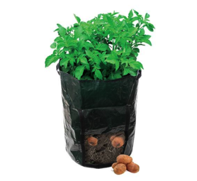 Potato plant bag