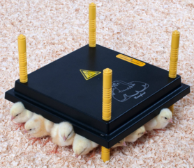 Heatplate for chicks 30x30cm 22 watts
