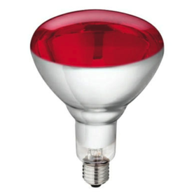 Heat lamp 150w hard glass Philips