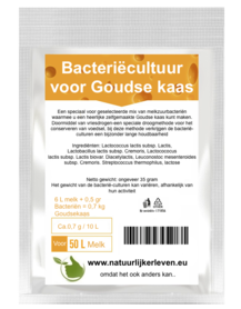 Bacterial culture for Gouda cheese