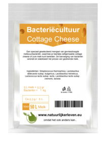 Bacteria culture for Cottage Cheese