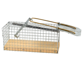 Mouse cage with wooden bottom