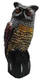 Owl with sound and shining eyes