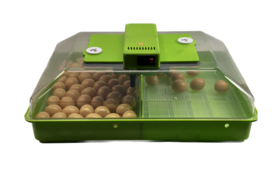 Incubator model NAT60H Standard