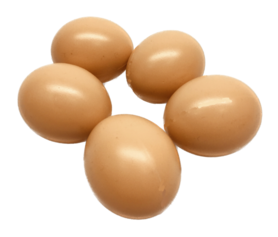 Artificial eggs 5 pcs