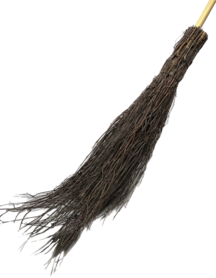 Birch branches broom