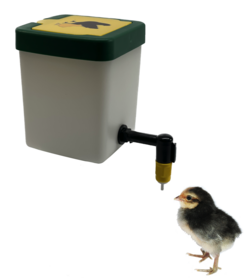  chick drink bottle with valve cover 0.5 l naturel incl.beugel