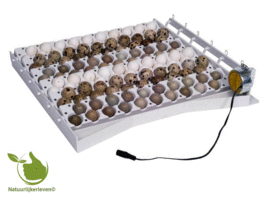 Automatic egg turner for 42 eggs + 6 egg trays for quail eggs