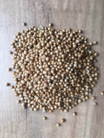 Coriander whole 50 gr