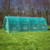 Tunnel Greenhouse 3x6x2 meter