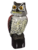 Owl with a moving head - birdwatcher