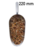 Dosing scoop 22 cm