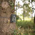 Wildlife camera 150NG