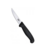 Victorinox butcher knife