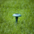 Mole repeller powered by solar energy