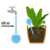 Watering bulbs for plants 2 pieces 400ml