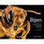 'Bijen' - Sam Droege & Laurence Packer
